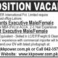 Accounts Jobs - KK Power International Pvt Ltd require staff