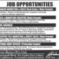 Elite Town Real Estate Jobs Lahore 10+ Vacancies announced