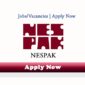 NESPAK Foundation Jobs 2017-2018 for Technical Staff – Apply Online