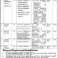 School Education Department Government of Punjab Jobs 2018